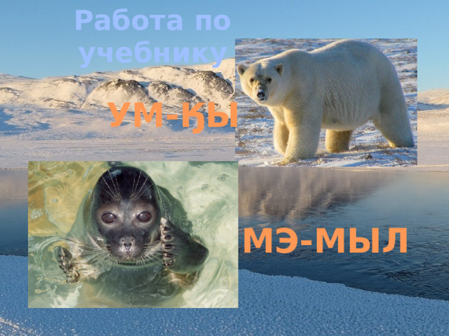 Работа по учебнику УМ-ӃЫ МЭ-МЫЛ 