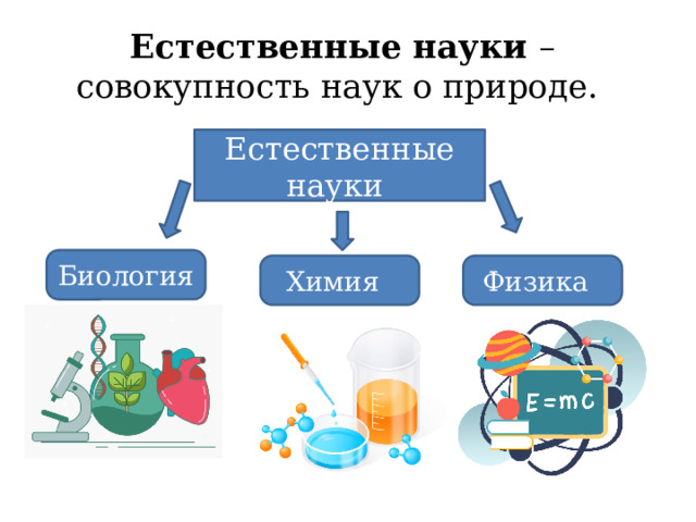 Естественные науки – совокупность наук о природе. Естественные науки Биология  Химия  Физика  