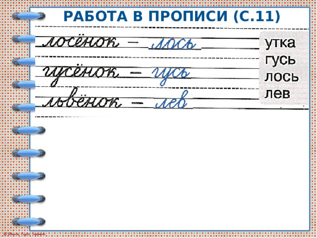 Работа в прописи (с.11) 