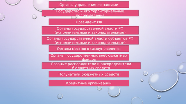 Органы управления финансами Государство и его территориальные подразделения Президент РФ Органы государственной власти РФ (исполнительные и законодательные) Органы государственной власти субъектов РФ (исполнительные и законодательные) Органы местного самоуправления Органы государственных внебюджетных фондов Главные распорядители и распределители бюджетных средств Получатели бюджетных средств Кредитные организации 