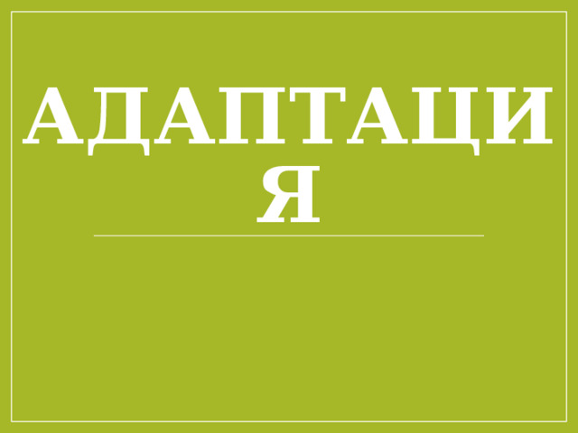 Адаптация 