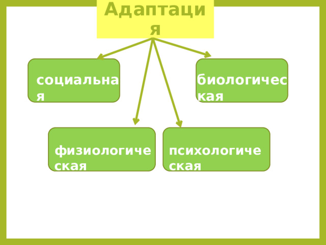 Адаптация социальная биологическая психологическая физиологическая 