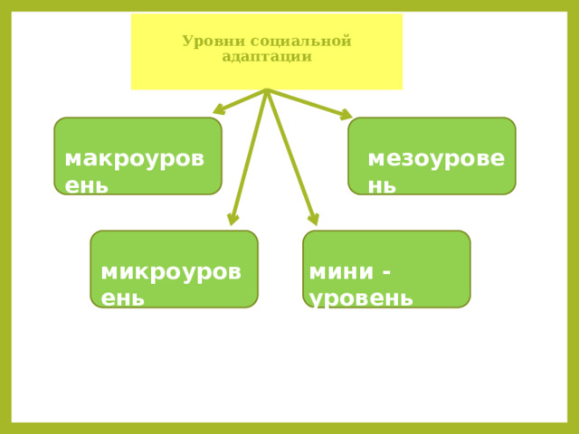  Уровни социальной адаптации   макроуровень мезоуровень мини - уровень микроуровень 