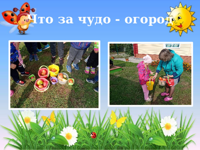 Что за чудо - огород 