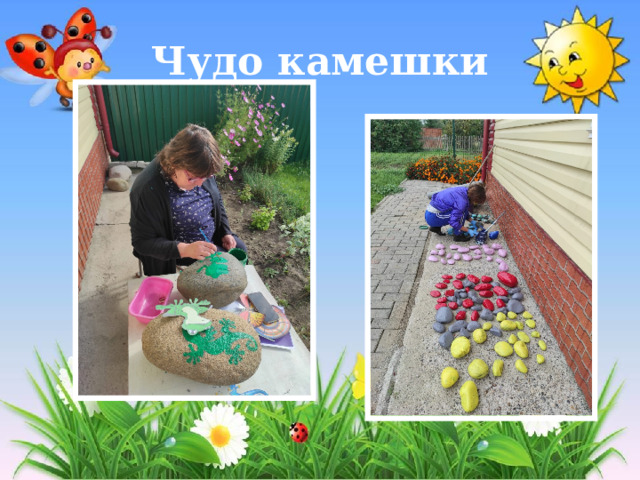 Чудо камешки 