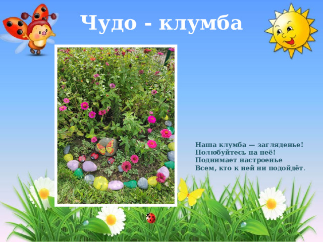 Чудо - клумба Наша клумба — загляденье!  Полюбуйтесь на неё!  Поднимает настроенье  Всем, кто к ней ни подойдёт . 