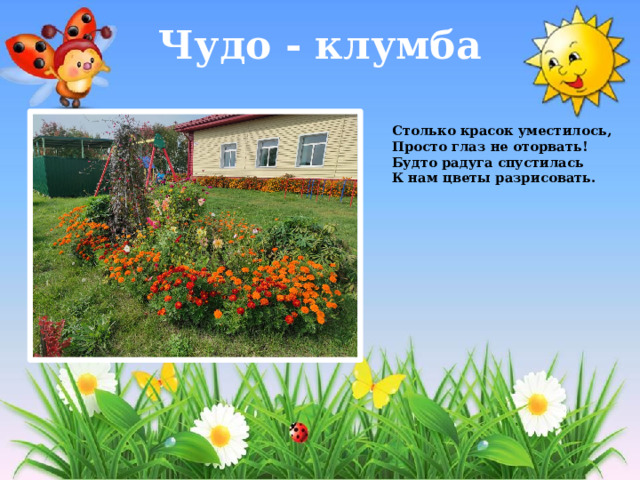Чудо - клумба Столько красок уместилось,  Просто глаз не оторвать!  Будто радуга спустилась  К нам цветы разрисовать. 