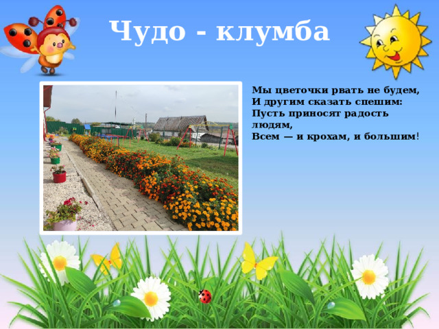 Чудо - клумба Мы цветочки рвать не будем,  И другим сказать спешим:  Пусть приносят радость людям,  Всем — и крохам, и большим ! 