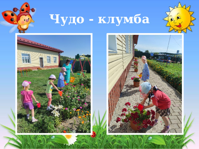 Чудо - клумба 
