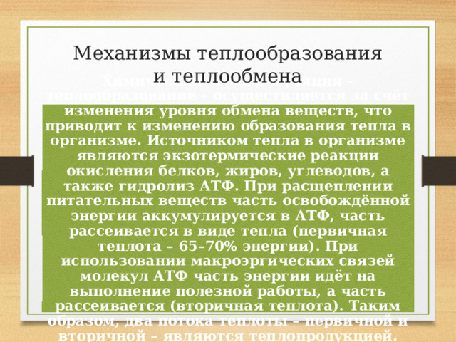 Механизмы теплообразования и теплообмена Химическая терморегуляция – теплообразование – осуществляется за счёт изменения уровня обмена веществ, что приводит к изменению образования тепла в организме. Источником тепла в организме являются экзотермические реакции окисления белков, жиров, углеводов, а также гидролиз АТФ. При расщеплении питательных веществ часть освобождённой энергии аккумулируется в АТФ, часть рассеивается в виде тепла (первичная теплота – 65–70% энергии). При использовании макроэргических связей молекул АТФ часть энергии идёт на выполнение полезной работы, а часть рассеивается (вторичная теплота). Таким образом, два потока теплоты – первичной и вторичной – являются теплопродукцией. 