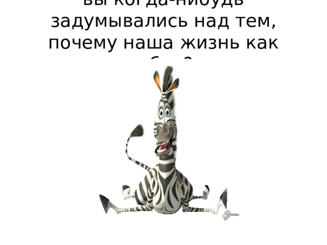 вы когда-нибудь задумывались над тем, почему наша жизнь как зебра? 