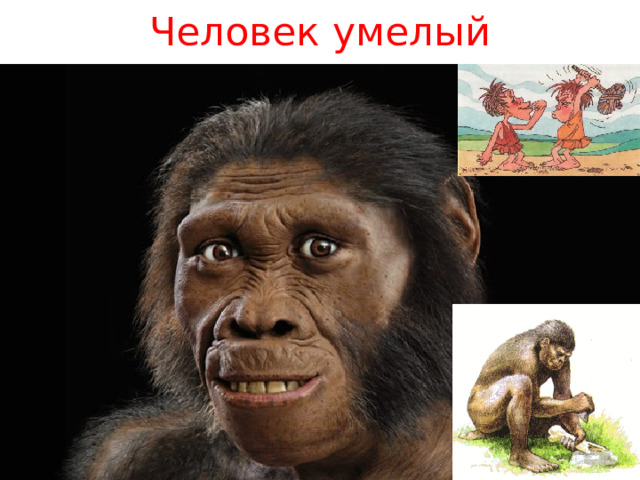 Человек умелый 