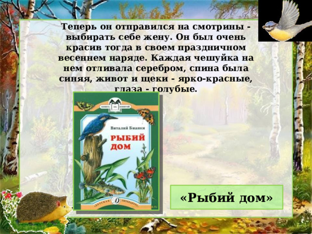 Теперь он отправился на смотрины - выбирать себе жену. Он был очень красив тогда в своем праздничном весеннем наряде. Каждая чешуйка на нем отливала серебром, спина была синяя, живот и щеки - ярко-красные, глаза - голубые. «Рыбий дом» 