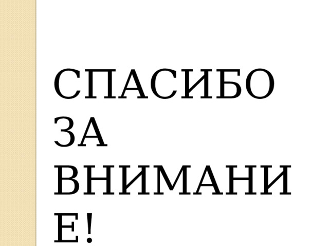 СПАСИБО ЗА ВНИМАНИЕ! 