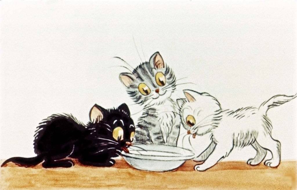 Сказка про котика