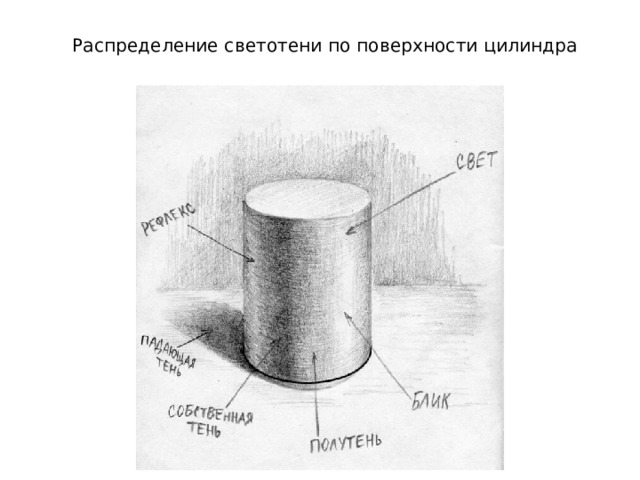 Распределение светотени по поверхности цилиндра 