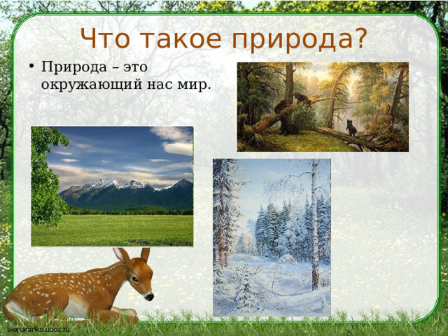 Что такое природа? Природа – это окружающий нас мир. 