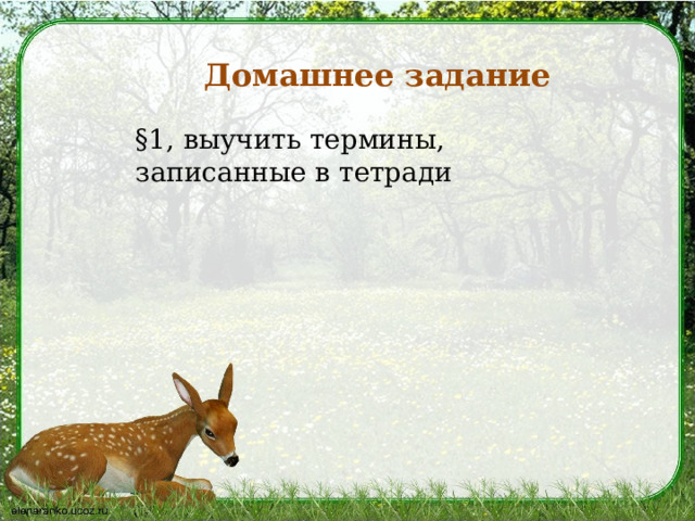Домашнее задание §1, выучить термины, записанные в тетради 