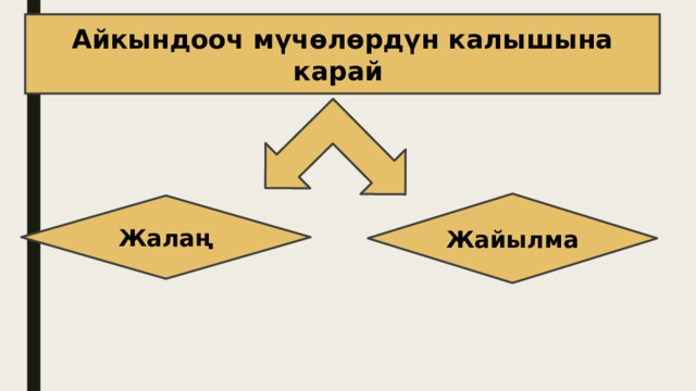Айкындооч мүчөлөрдүн калышына карай Жайылма Жалаң 