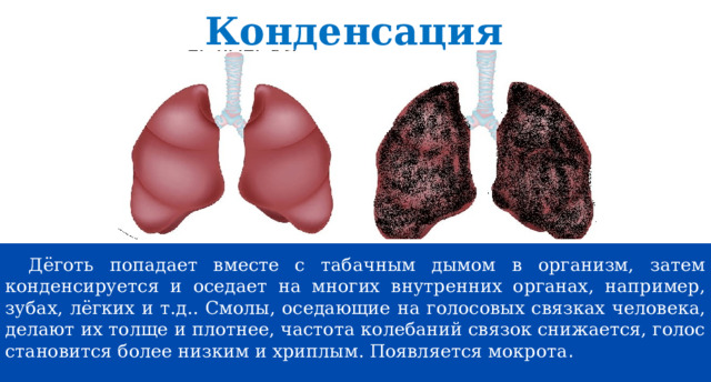 Конденсация Дёготь попадает вместе с табачным дымом в организм, затем конденсируется и оседает на многих внутренних органах, например, зубах, лёгких и т.д.. Смолы, оседающие на голосовых связках человека, делают их толще и плотнее, частота колебаний связок снижается, голос становится более низким и хриплым. Появляется мокрота . 