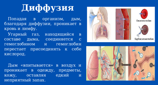 Диффузия Попадая в организм, дым, благодаря диффузии, проникает в кровь и лимфу. Угарный газ, находящийся в составе дыма, соединяется с гемоглобином и гемоглобин перестает присоединять к себе кислород. Дым «впитывается» в воздух и проникает в одежду, предметы, кожу, оставляя едкий и неприятный запах. 