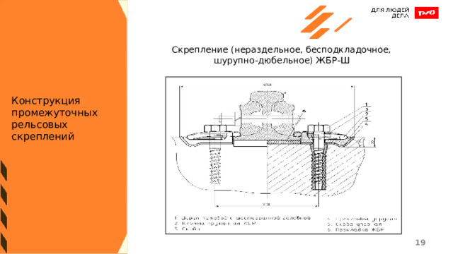 Скрепление (нераздельное, бесподкладочное, шурупно-дюбельное) ЖБР-Ш Конструкция промежуточных рельсовых скреплений 1 1 