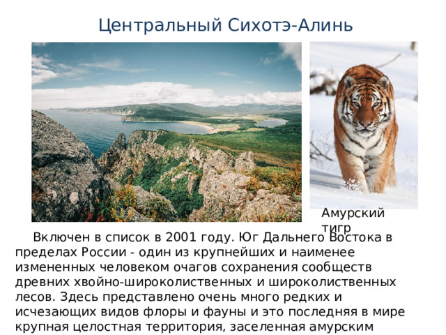 Центральный Сихотэ-Алинь Амурский тигр Включен в список в 2001 году. Юг Дальнего Востока в пределах России - один из крупнейших и наименее измененных человеком очагов сохранения сообществ древних хвойно-широколиственных и широколиственных лесов. Здесь представлено очень много редких и исчезающих видов флоры и фауны и это последняя в мире крупная целостная территория, заселенная амурским тигром. 
