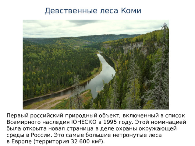 Девственные леса Коми Первый российский природный объект, включенный в список Всемирного наследия ЮНЕСКО в 1995 году. Этой номинацией была открыта новая страница в деле охраны окружающей среды в России. Это самые большие нетронутые леса в Европе (территория 32 600 км²). 