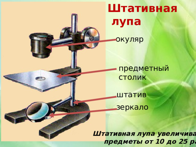 Штативная  лупа окуляр предметный столик штатив зеркало Штативная лупа увеличивает предметы от 10 до 25 раз. 