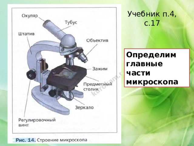 Учебник п.4, с.17 Определим главные части микроскопа 