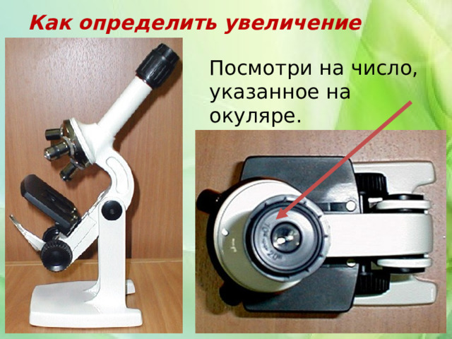 Как определить увеличение микроскопа? Посмотри на число, указанное на окуляре. 