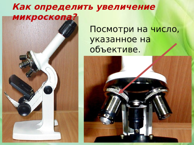 Как определить увеличение микроскопа? Посмотри на число, указанное на объективе. 