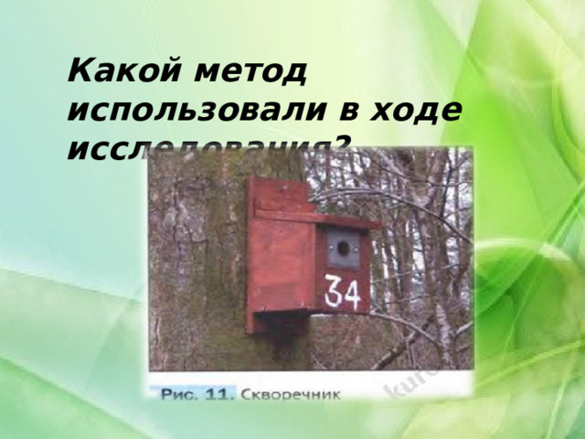 Какой метод использовали в ходе исследования? 