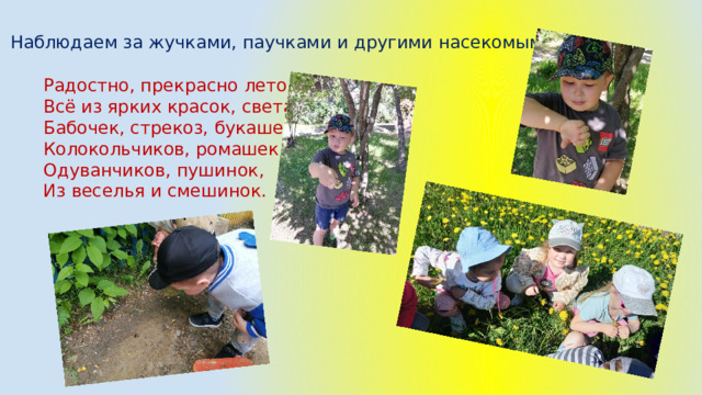 Наблюдаем за жучками, паучками и другими насекомыми Радостно, прекрасно лето, Всё из ярких красок, света, Бабочек, стрекоз, букашек, Колокольчиков, ромашек, Одуванчиков, пушинок, Из веселья и смешинок. 