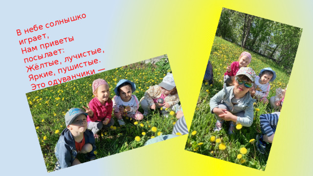 В небе солнышко играет, Нам приветы посылает: Жёлтые, лучистые, Яркие, пушистые. Это одуванчики — Солнечные зайчики. 