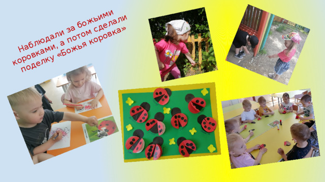 Наблюдали за божьими коровками, а потом сделали поделку «Божья коровка» 