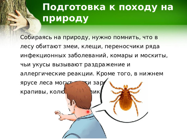 Подготовка к походу на природу Собираясь на природу, нужно помнить, что в лесу обитают змеи, клещи, переносчики ряда инфекционных заболеваний, комары и москиты, чьи укусы вызывают раздражение и аллергические реакции. Кроме того, в нижнем ярусе леса могут расти заросли жгучей крапивы, колючей ежевики и т.д. 