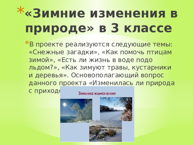 «Зимние изменения в природе» в 3 классе В проекте реализуются следующие темы: «Снежные загадки», «Как помочь птицам зимой», «Есть ли жизнь в воде подо льдом?», «Как зимуют травы, кустарники и деревья». Основополагающий вопрос данного проекта «Изменилась ли природа с приходом зимы?» 