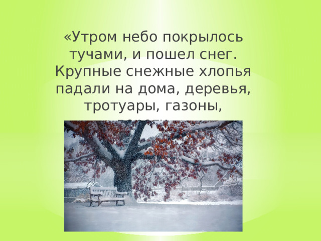 «Утром небо покрылось тучами, и пошел снег. Крупные снежные хлопья падали на дома, деревья, тротуары, газоны, дороги...» 