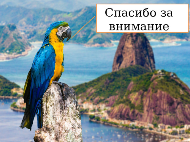 Спасибо за внимание 