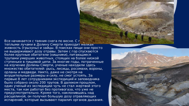 Откуда приходит смерть? Откуда приходит смерть? В официальном источнике одной из экспедиций было зафиксировано ее нахождение. Датировано это событие 1975 годом. Отыскали ее лесник Каляев В.С. и вулканолог Леонов В.Л. Это событие с первых дней стало весьма знаменательным и очень важным в истории заповедника. Далее все интереснее и интереснее. Последующие 8 лет (1975 — 1983) в Долину Смерти направлялось множество экспедиций во главе с ведущими специалистами нашей страны. Вулканологами было собрано масса проб и анализов, подведено много выводов и результатов. Все это время они пытались выяснить природную составляющую газа (мофет), «властвующего» на территории долины. На этом месте было найдено огромное количество животных и птиц, погибавших в объятиях смертельной земли. Благодаря проделанной работе, ученые выяснили промежутки времени, когда гибли те или иные виды зверей. 