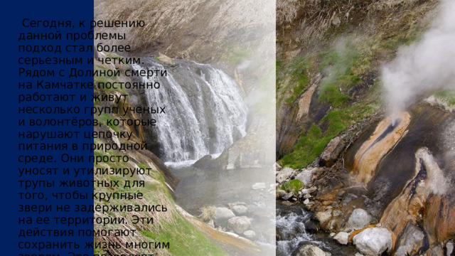 Все начинается с таяния снега по весне. С первыми теплыми лучами в Долину Смерти приходит мелкая живность (грызуны) и зайцы. В поисках пищи они просто не выдерживают дозу отравы. Затем с гор спускаются более крупные обитатели (хищники), питающиеся трупами умерших животных, стоящих на более низкой ступеньке в пищевой цепи. За многие годы, потраченные на изучение Долины Смерти, ученые находили здесь множество обитателей: рысь, лисицы, росомахи, вороны, орланы и медведи. Никто, даже не смотря на внушительные размеры и силу, не смог устоять. За первые 8 лет сотрудниками экспедиций и заповедника было собрано около 200 трупов. В далеком прошлом, один ученый из экспедиции чуть не стал жертвой этого места, так как работал без противогаза, что уже не предусмотрительно. Кроме того, наклонившись над расщелиной, он получил большую дозу отравляющих испарений, которые вызывают паралич органов дыхания. 