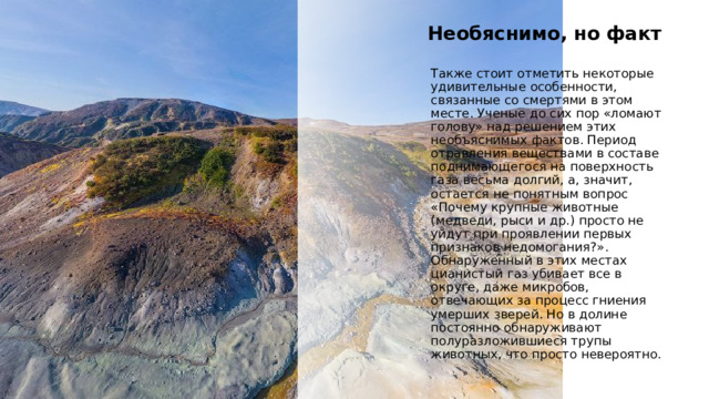   Сегодня, к решению данной проблемы подход стал более серьезным и четким. Рядом с Долиной смерти на Камчатке постоянно работают и живут несколько групп ученых и волонтёров, которые нарушают цепочку питания в природной среде. Они просто уносят и утилизируют трупы животных для того, чтобы крупные звери не задерживались на ее территории. Эти действия помогают сохранить жизнь многим зверям. Это позволяет спасти много жизней. 