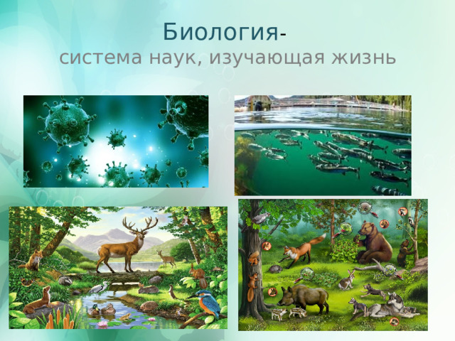 Биология -  система наук, изучающая жизнь 