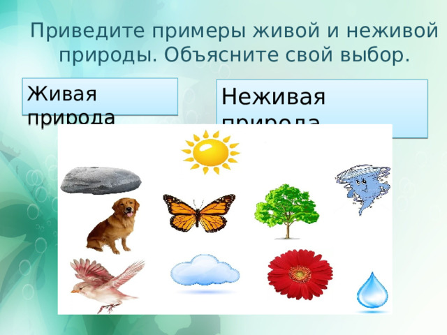 Приведите примеры живой и неживой природы. Объясните свой выбор. Живая природа Неживая природа 