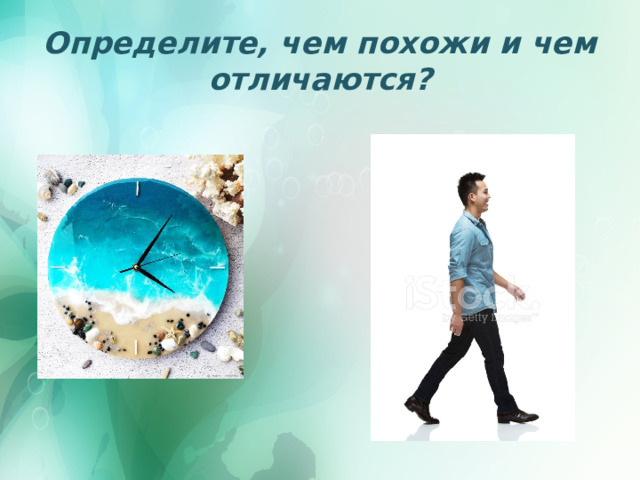Определите, чем похожи и чем отличаются? 