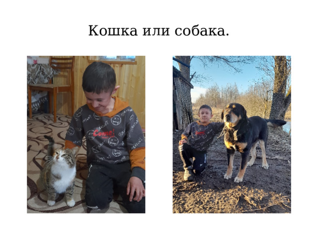 Кошка или собака. 