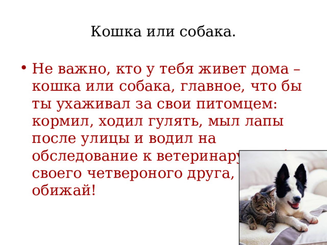 Кошка или собака. Не важно, кто у тебя живет дома – кошка или собака, главное, что бы ты ухаживал за свои питомцем: кормил, ходил гулять, мыл лапы после улицы и водил на обследование к ветеринару. Люби своего четвероного друга, не обижай! 