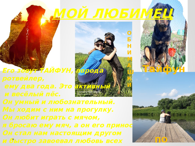 МОЙ ЛЮБИМЕЦ О Б Н И м А ш К и Тайфун Его зовут ТАЙФУН, порода ротвейлер,  ему два года. Это активный  и весёлый пёс. Он умный и любознательный. Мы ходим с ним на прогулку. Он любит играть с мячом, я бросаю ему мяч, а он его приносит. Он стал нам настоящим другом и быстро завоевал любовь всех членов семьи. По секрету 