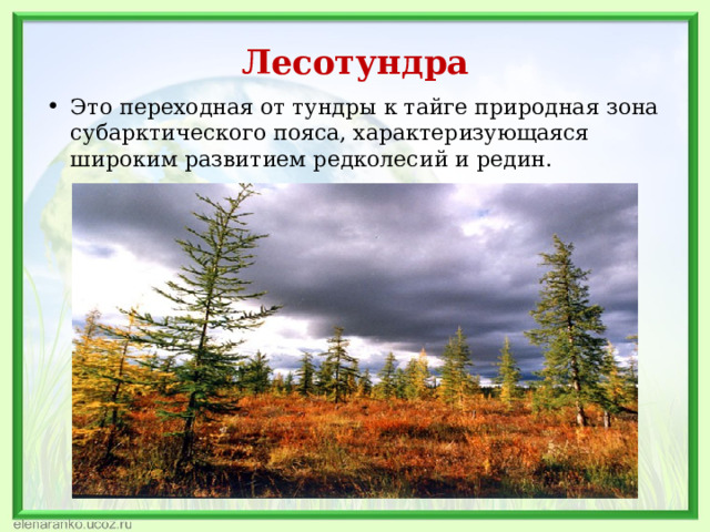 Лесотундра Это переходная от тундры к тайге природная зона субарктического пояса, характеризующаяся широким развитием редколесий и редин.   
